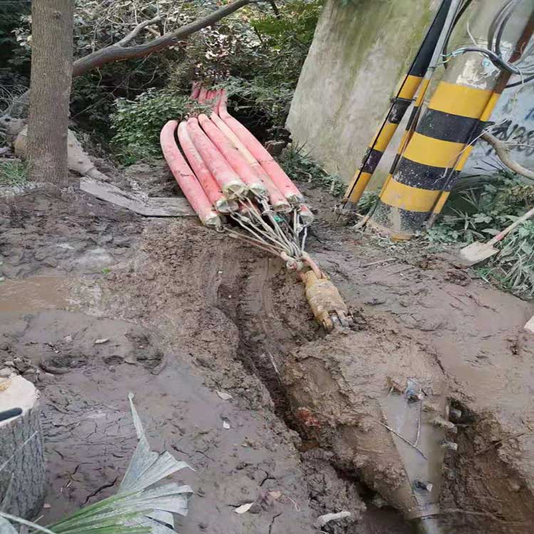 延边朝鲜族冷库自动武汉拖拉管